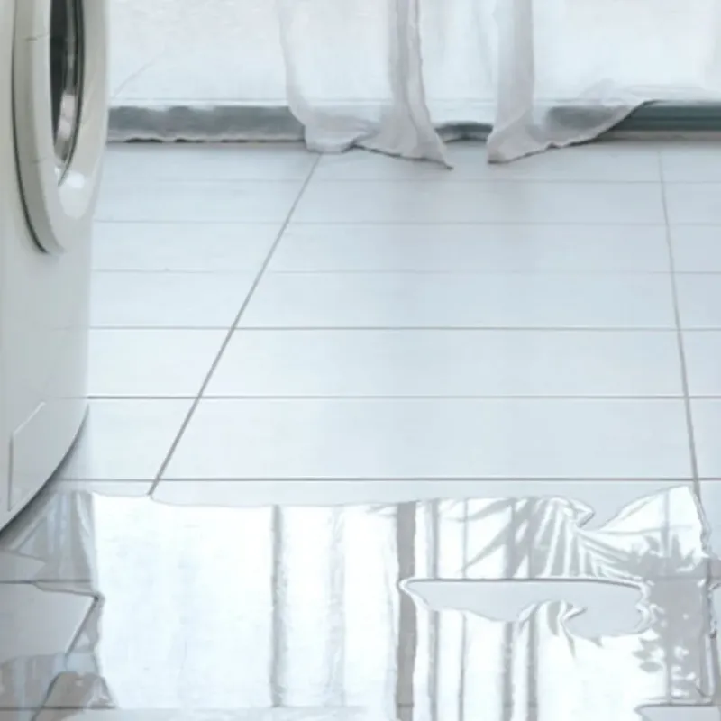 Appliance Leak Cleanup in Grays Harbor County, WA