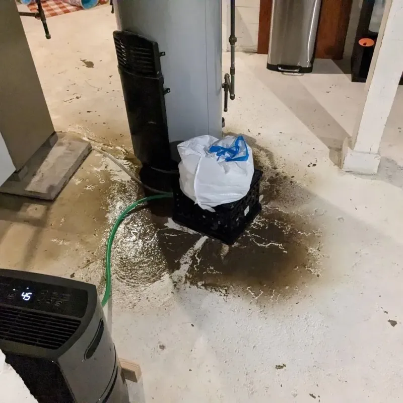 Sewage Backup Cleanup Service in Grays Harbor County, WA